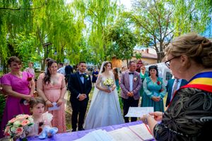 Outdoor wedding celebration with guests surrounding a table under drooping willow branches.
