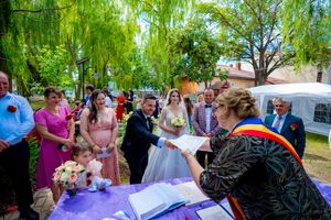 Wedding party members surround a purple-clothed signing table during an outdoor ceremony.