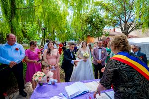 Wedding guests witness document signing at an outdoor ceremony under lush green trees.