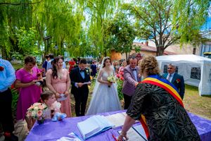 Outdoor wedding ceremony features document signing under a canopy of green willow branches.
