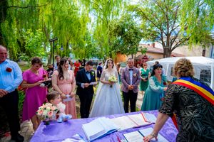 Wedding party members participate in document signing beneath a weeping willow tree.