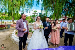 Guests mingle during an outdoor wedding reception beneath cascading willow branches.