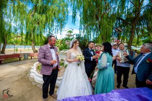 Wedding party celebrates under green willow trees during an outdoor summer ceremony.