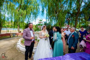 Wedding celebration unfolds under the natural canopy of weeping willow trees.