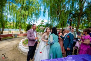 Festive wedding party gathers beneath swaying willow branches in a park setting.
