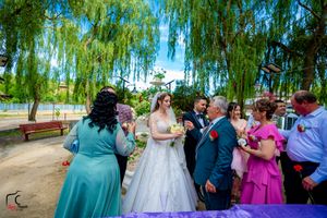 Joyful wedding celebration takes place in a scenic park setting with willow trees.