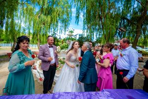 Wedding guests socialize during an outdoor reception under elegant willow trees.