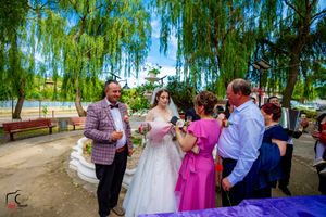 Outdoor wedding reception features guests celebrating beneath swaying willow branches.