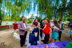 Wedding party celebrating under weeping willow trees on a sunny day in a garden setting.
