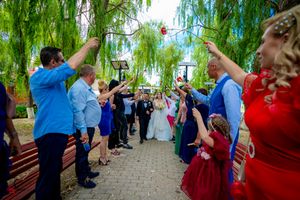 Wedding party and guests gather under willow trees for a joyful outdoor celebration.