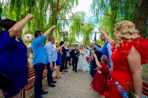 Celebration under weeping willow trees with guests in formal attire lining a stone walkway.