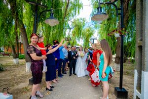 Outdoor celebration scene with guests lined up beneath hanging willow tree branches.