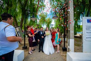 Guests create celebratory tunnel under willow trees for formal outdoor event.
