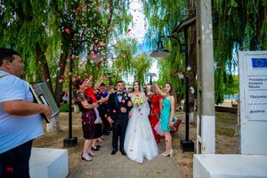 Wedding guests line a brick pathway under willow trees for celebratory petal toss.