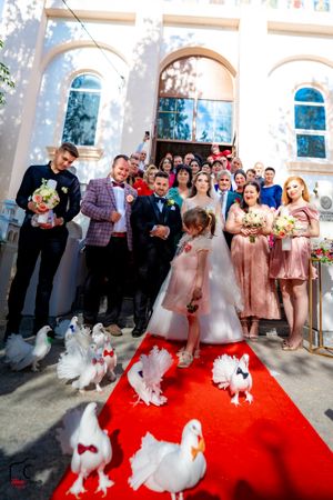 Large wedding group gathers outside church while white doves walk on red carpet.