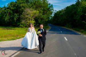 A wedding party poses on a scenic tree-lined road on a bright sunny day.