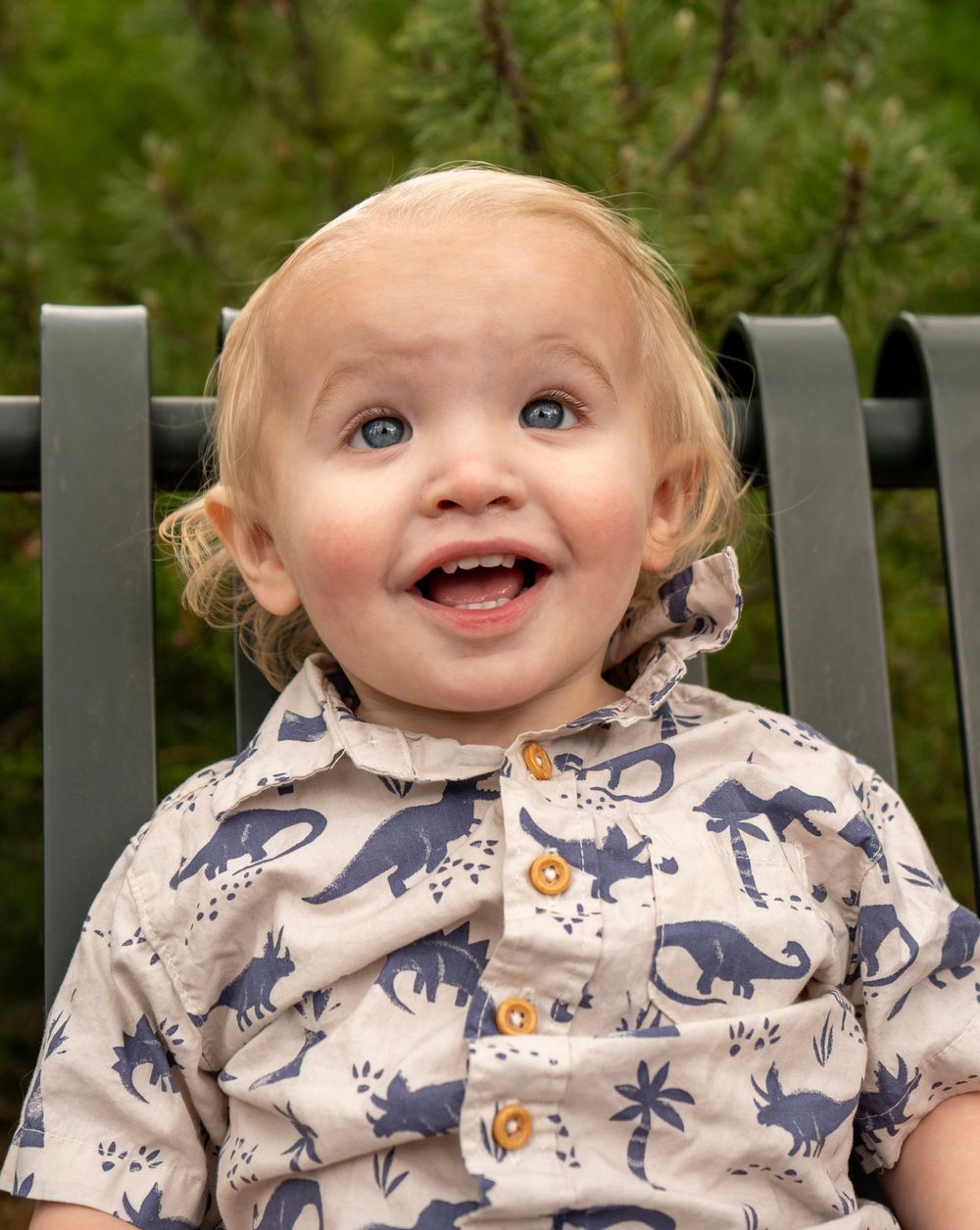 Happy blue-eyed toddler boy in dinosaur shirt sitting on a bench outdoors.