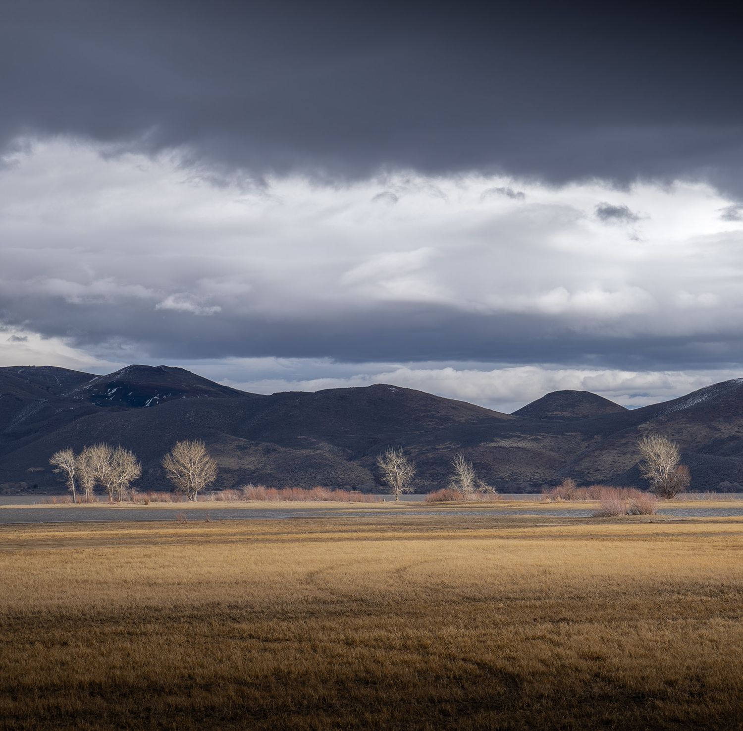 Dramatic storm clouds hover over mountainous landscape with golden field and bare winter trees in foreground.
