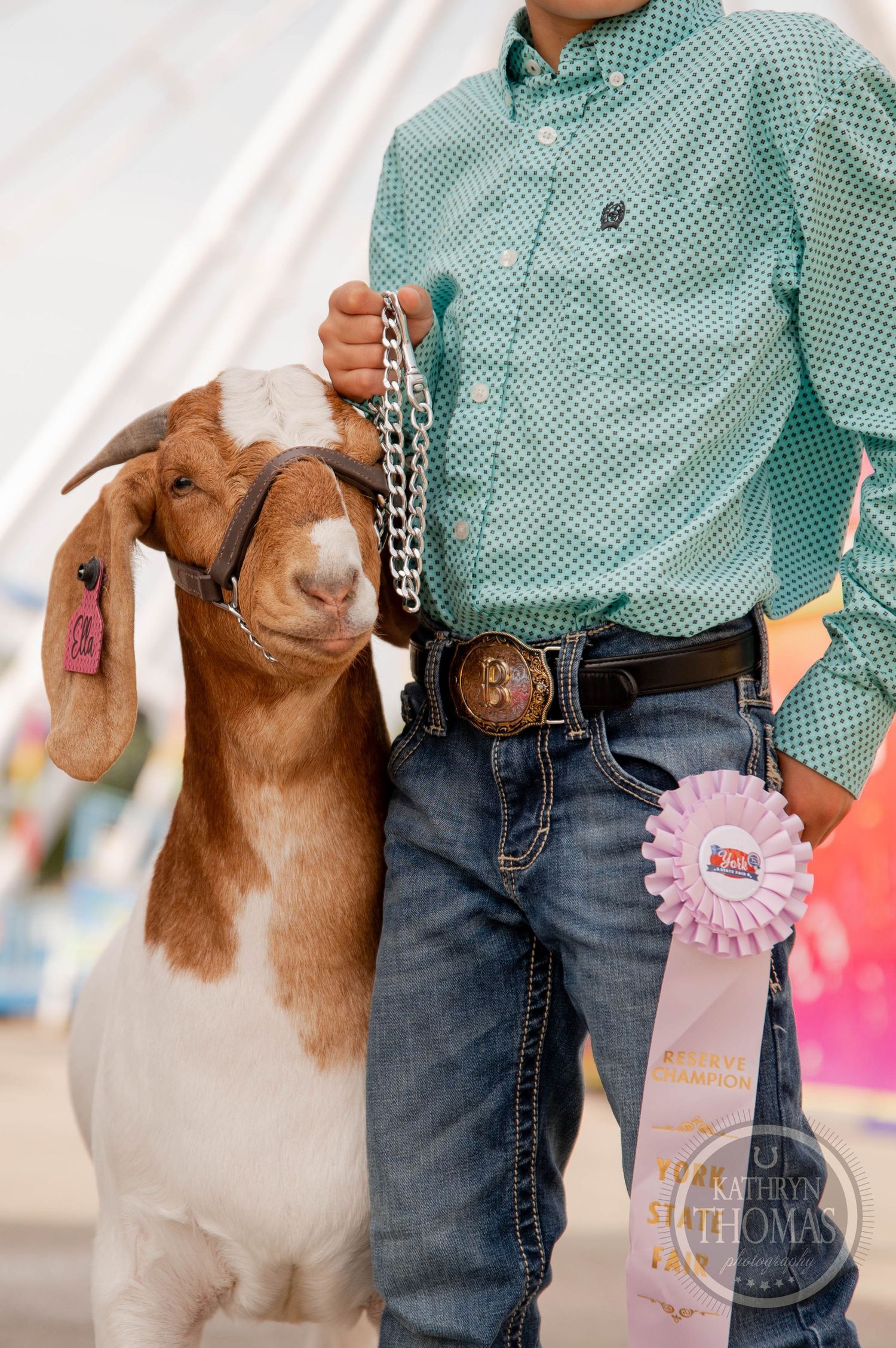 Brown and white goat on a lead wearing a show collar stands next to someone in a mint green checkered shirt at a fair.