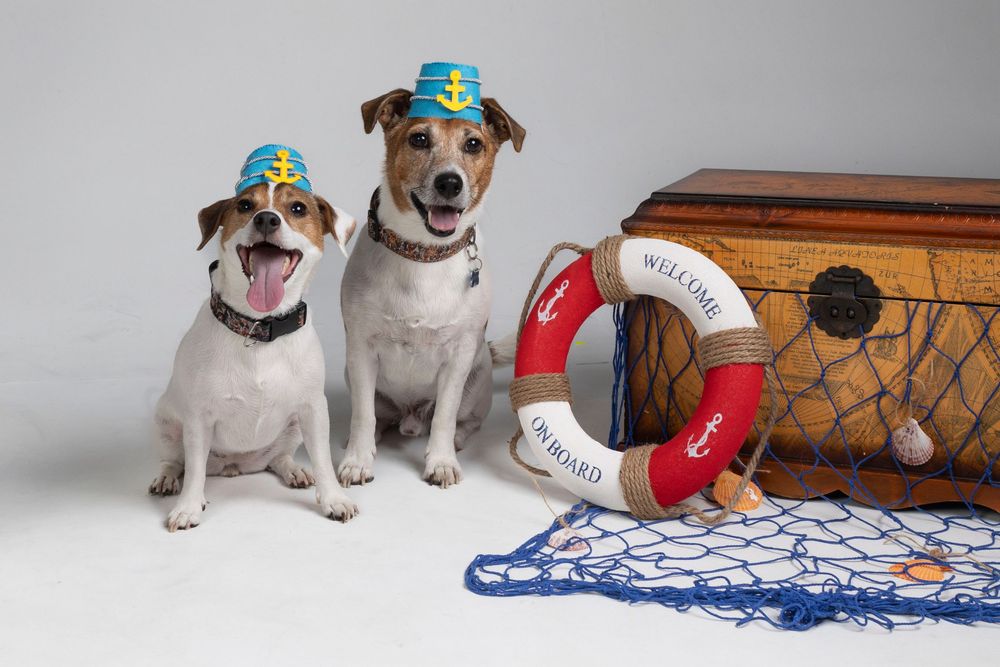Jack Russell Terrier con gorra de capitán y objetos náuticos. Sesión fotográfica temática canina en Barcelona por Daniel Giménez.