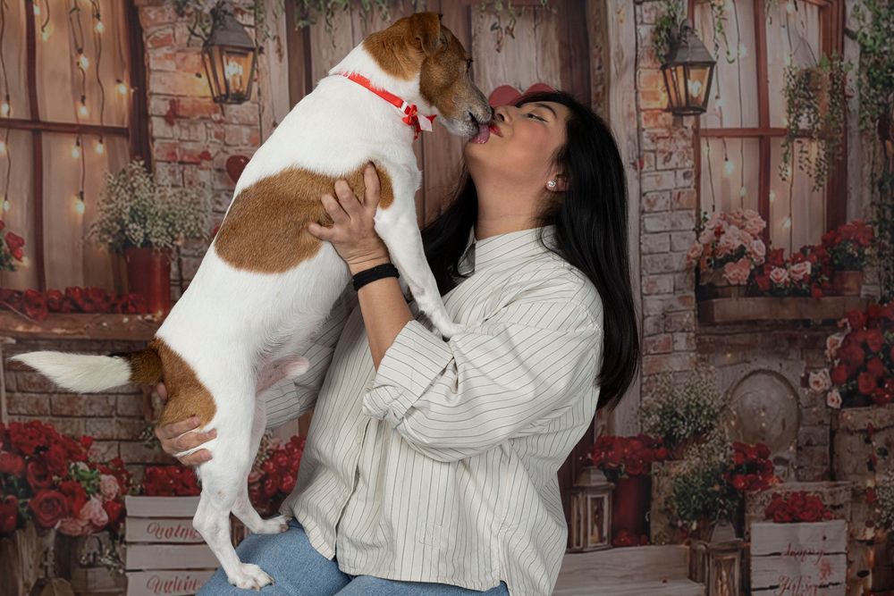 Fotografía canina navideña en Dog Photo Christmas Barcelona. Sesión fotográfica de mascotas por Daniel Giménez.