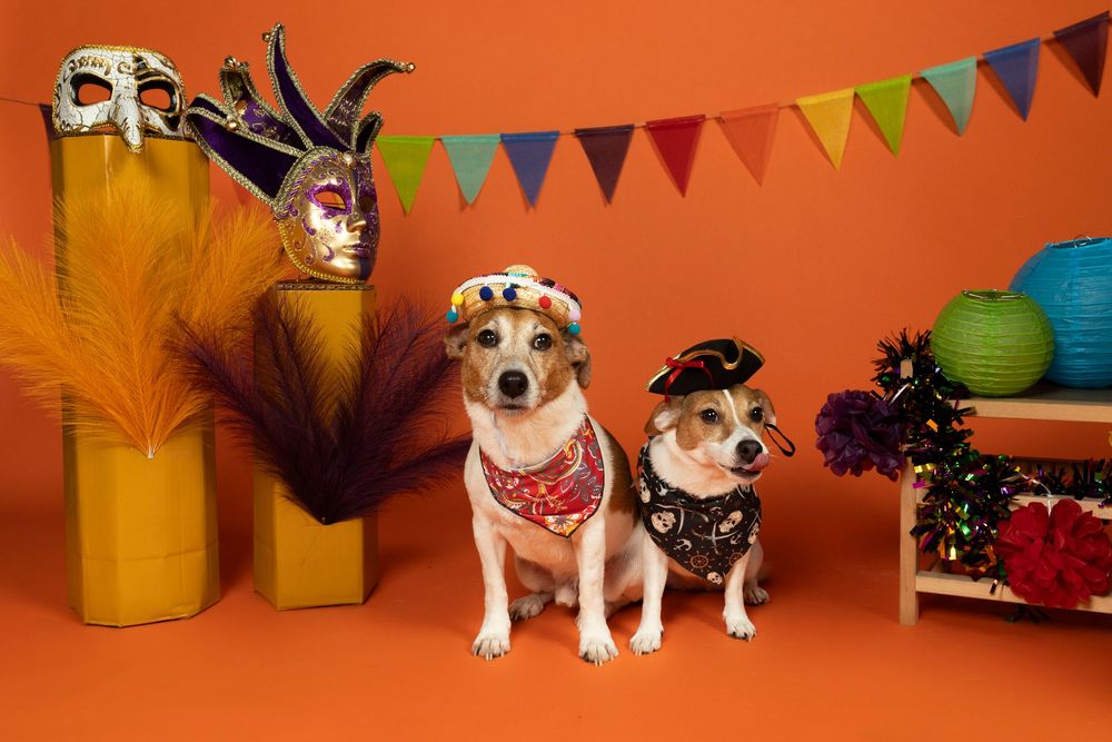 Perros con disfraces y decoración de fiesta en Dog Photo Event Barcelona. Fotografía canina temática por Daniel Giménez.
