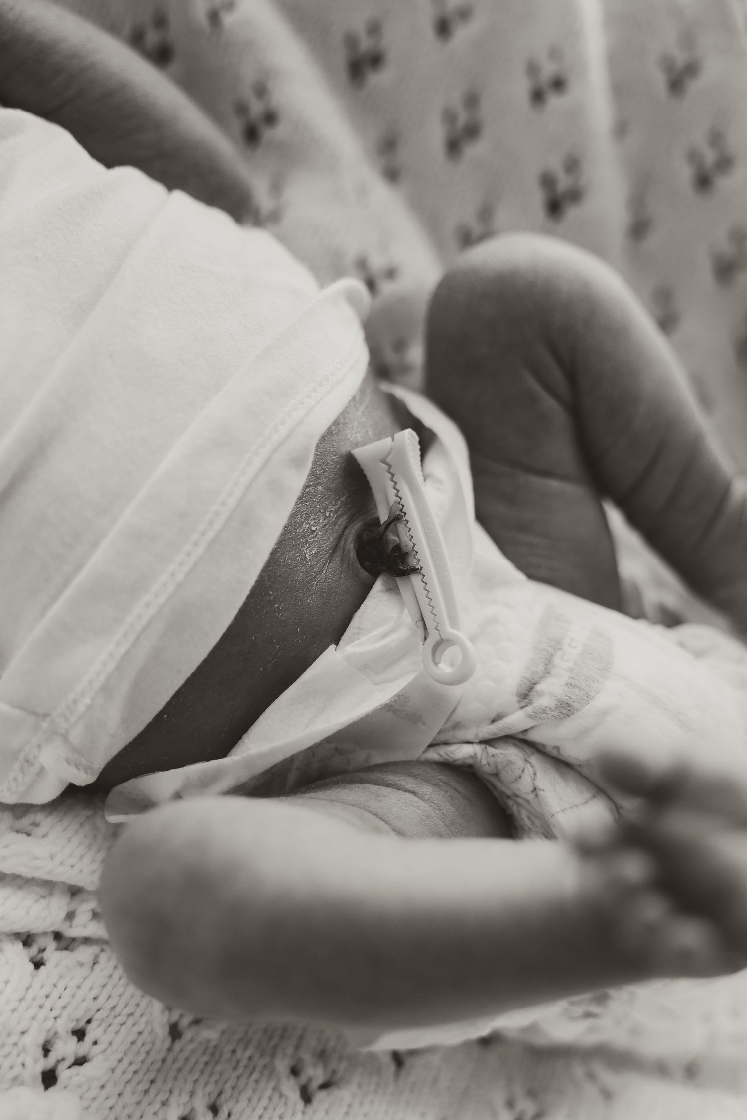 newborn photography session