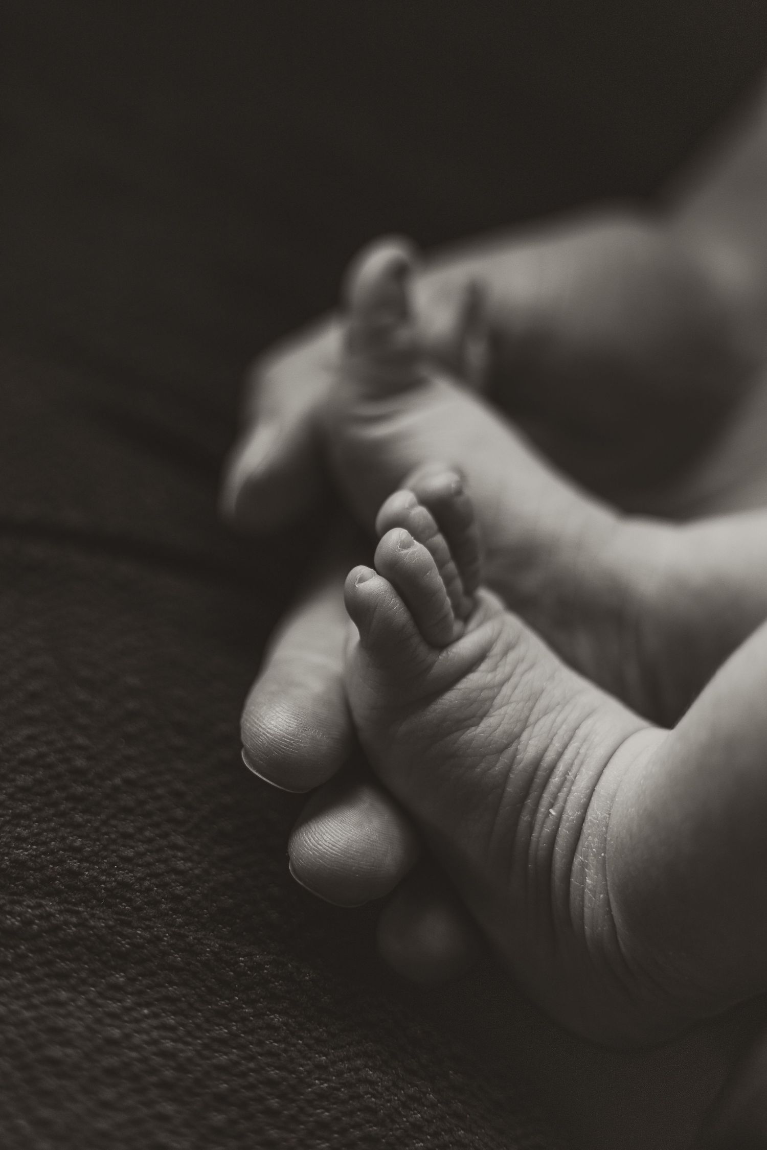 newborn photography session