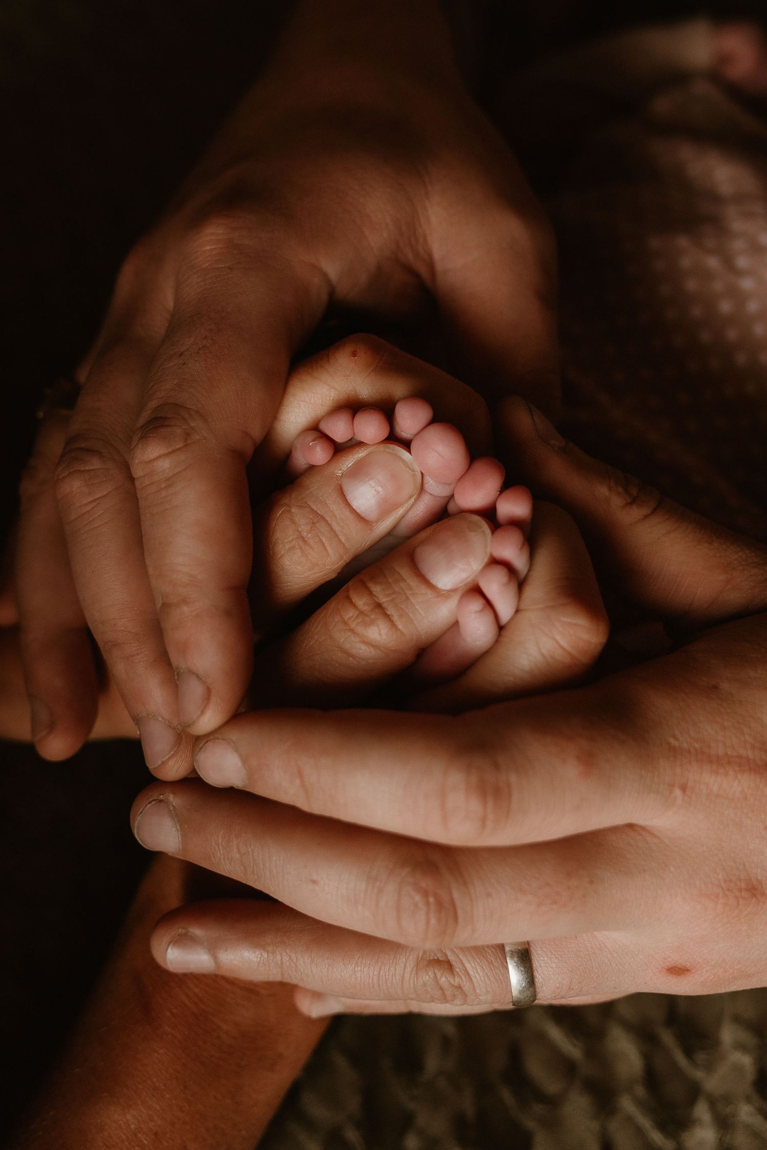 newborn photography session