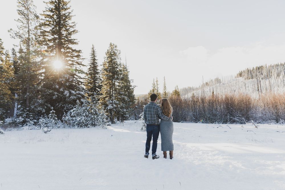 Snow covered winter landscape with evergreen trees and sunlight peeking through at sunset.