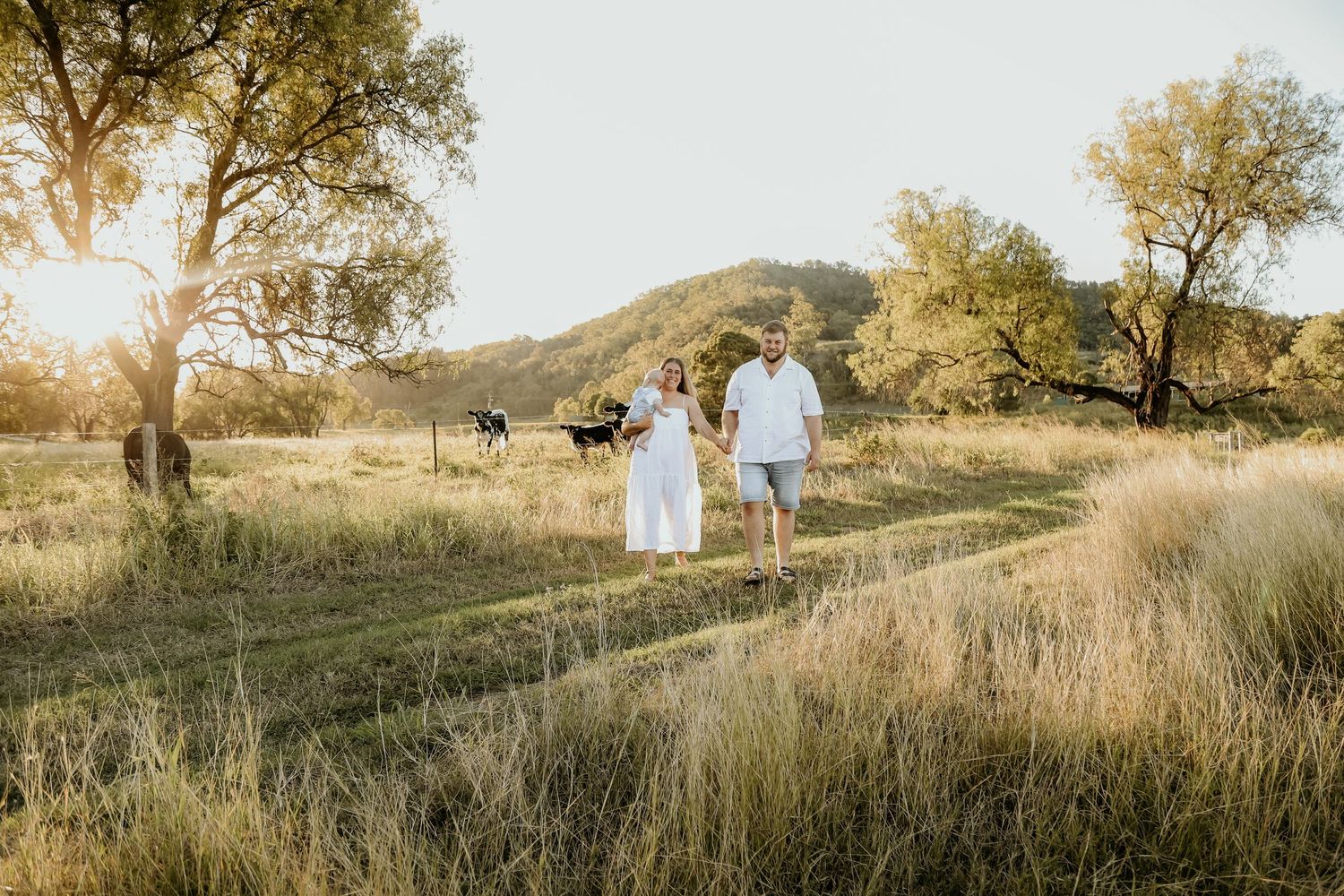 Cows in background of family photos