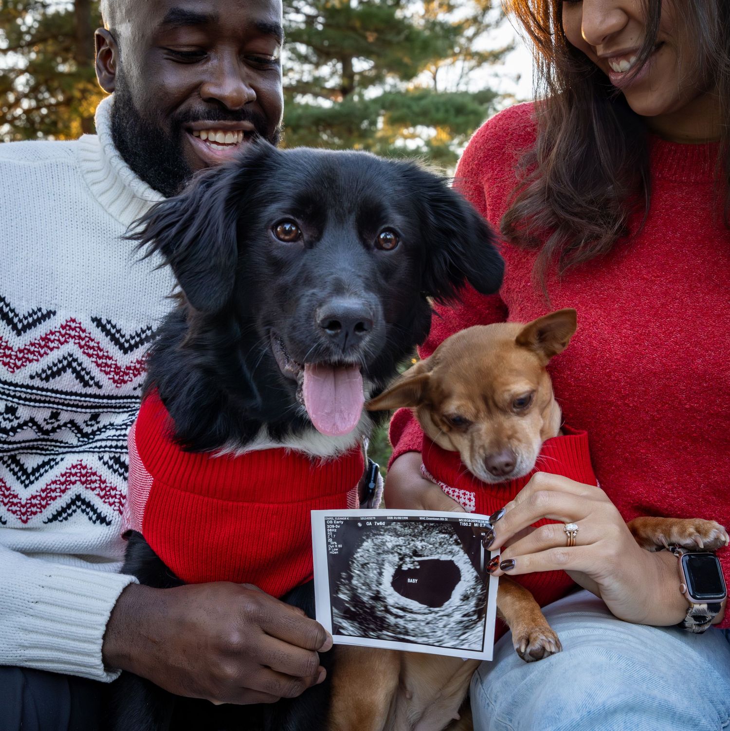 portrait of a young couple announcing their pregnancy with their two dogs and a picture of the ultrasound
