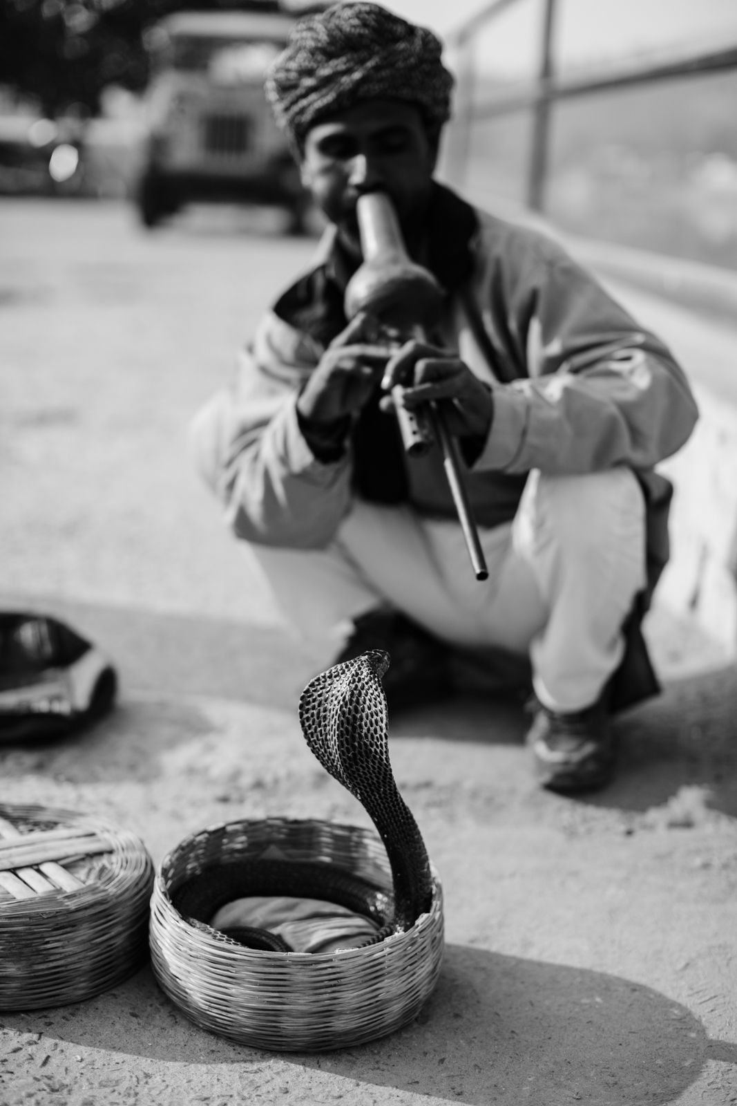 Jaipur, India | Rajasthan India | Amber Fort | Amer Amber Fort | Cobra Snake Charmer