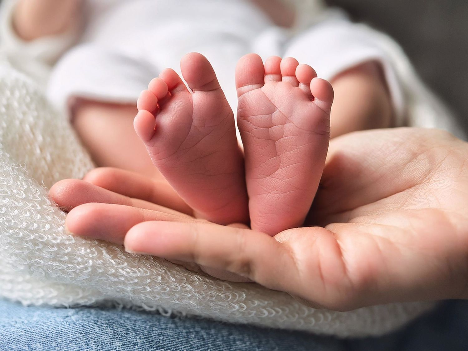 Newborn baby tiny feet in parents hands