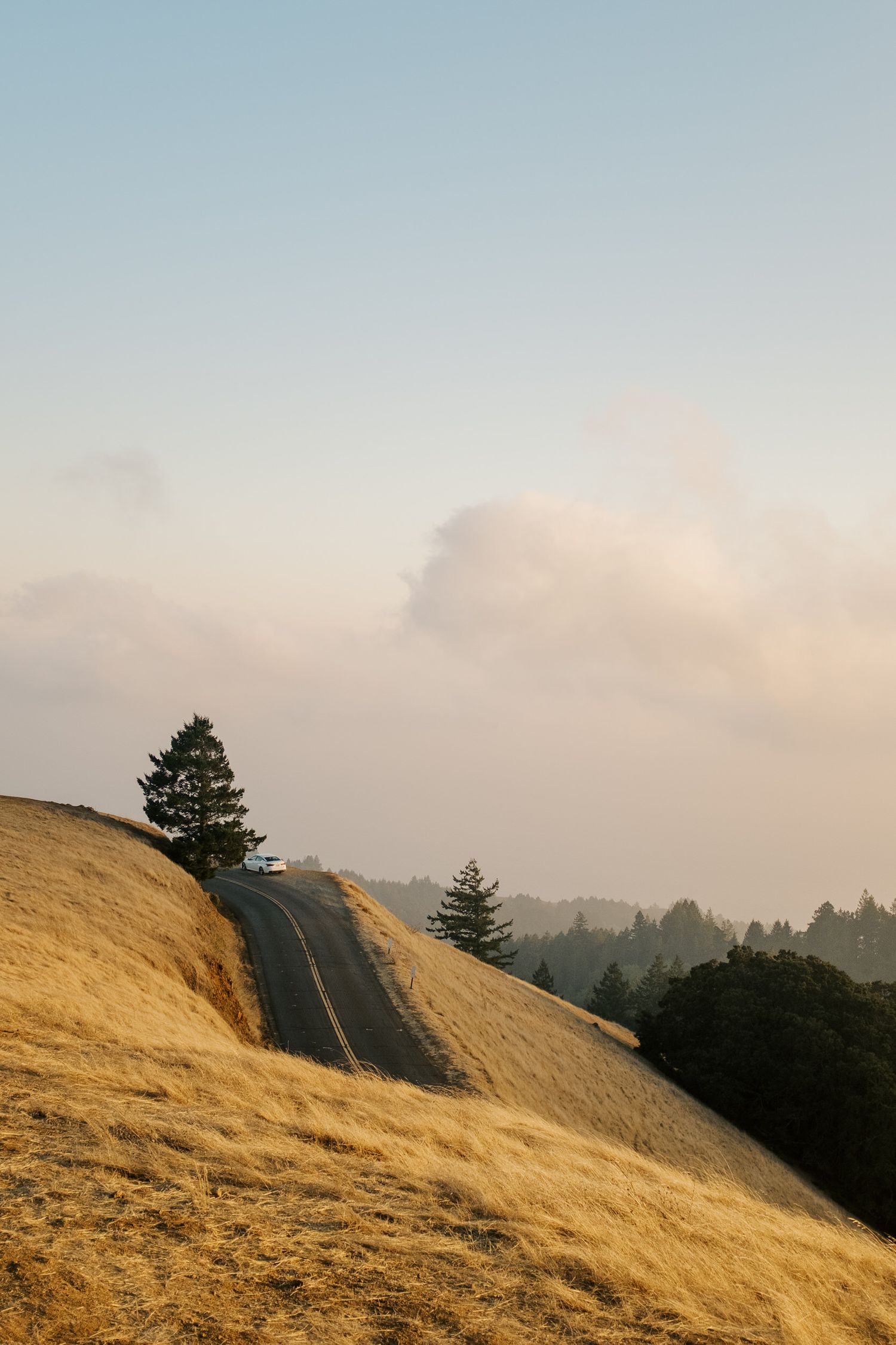 A winding mountain road cuts through golden hills with evergreen trees under a misty sky at sunset.