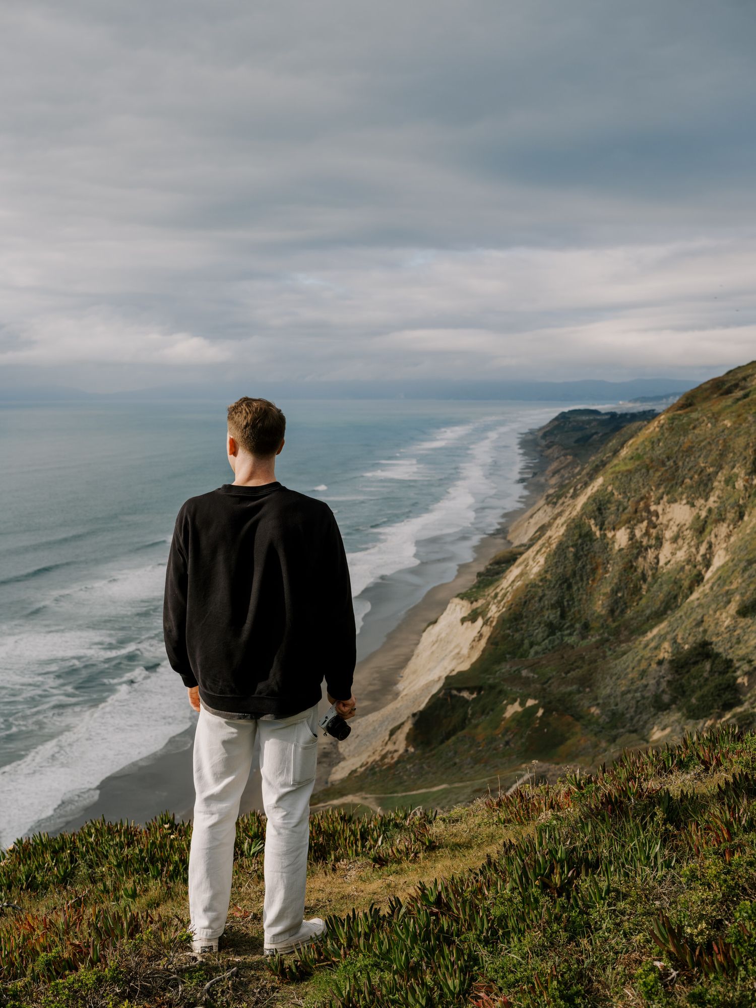 Scenic view of rugged California coastline from hilltop overlook on overcast day.