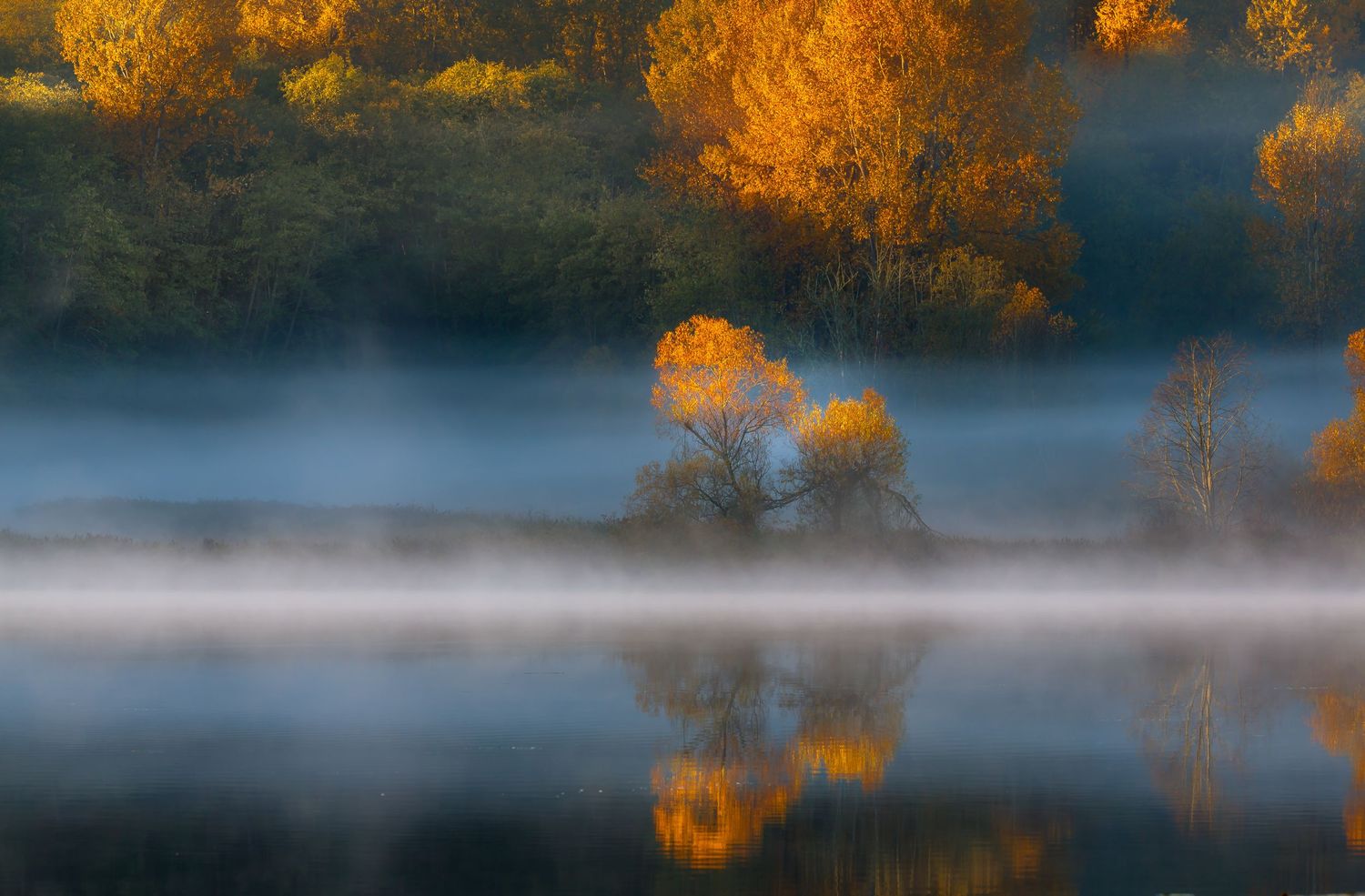 Deer Lake, Burnaby, British Columbia