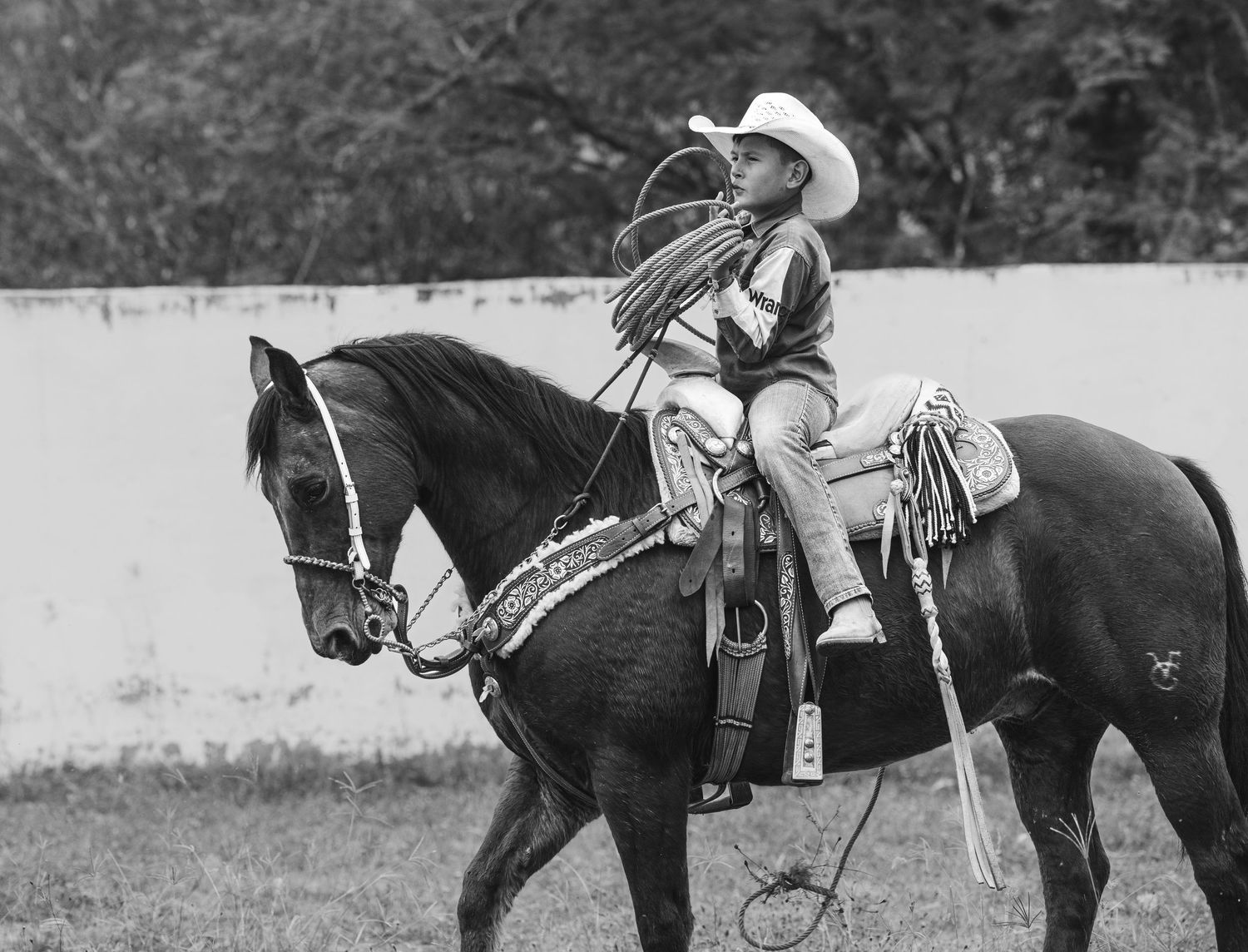 Young cowboy in white hat holding a lasso while riding a dark horse in a rodeo arena.