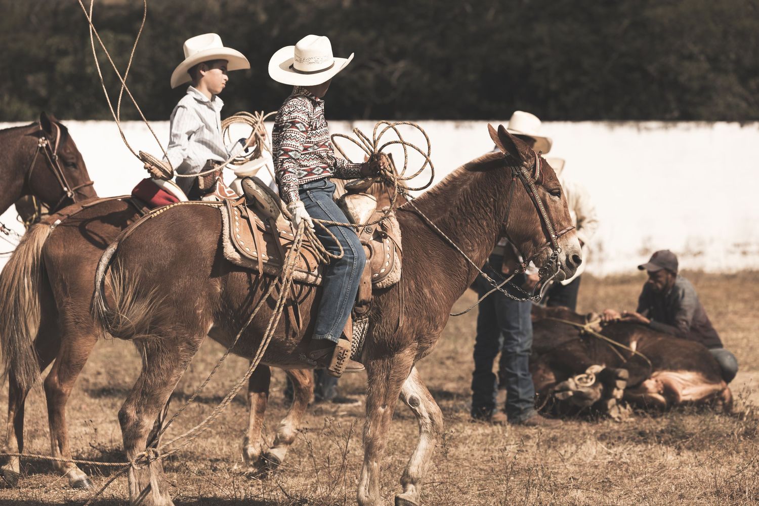 Cowboys on horseback with lassos working a calf during a ranch roundup in a field.