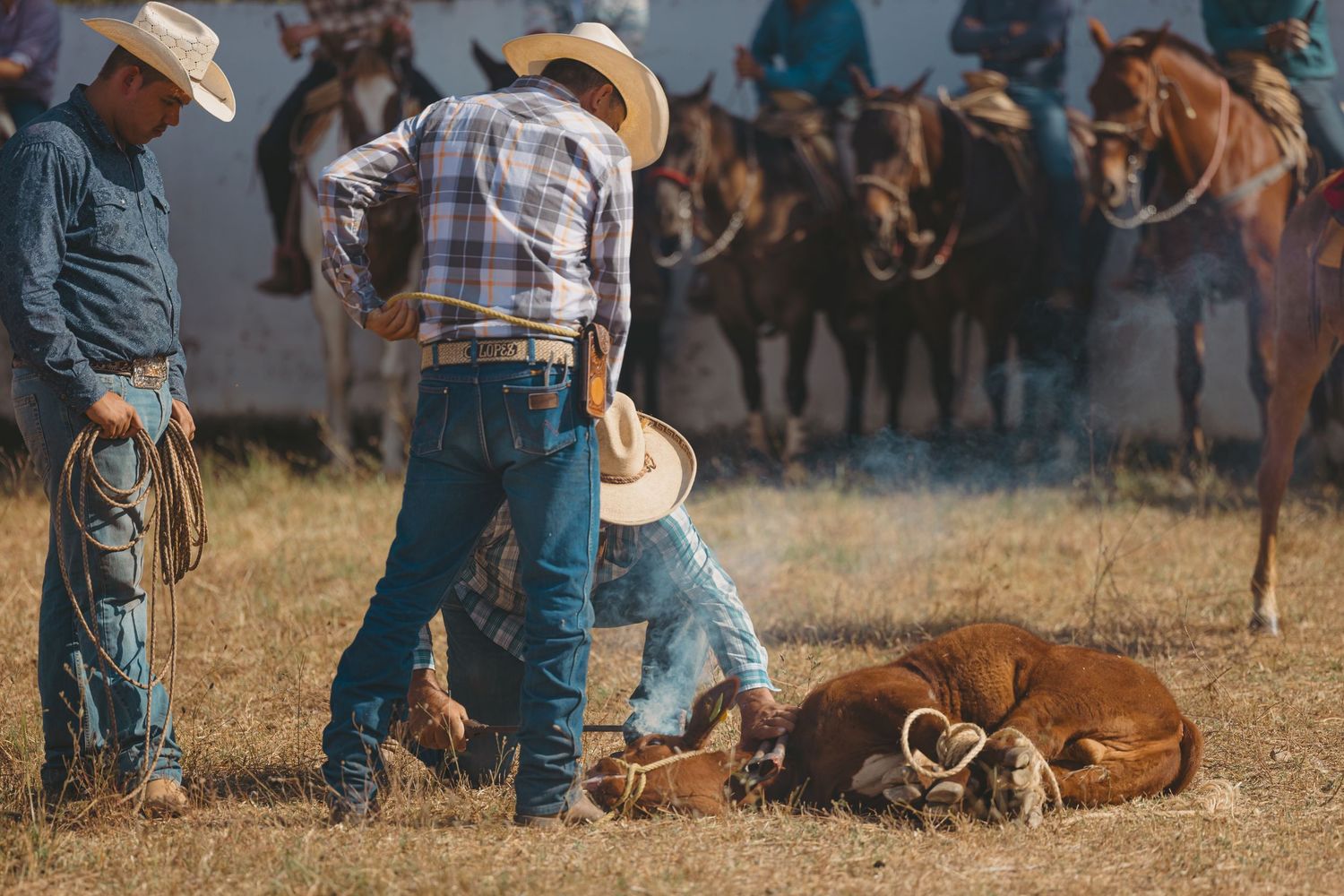 Three cowboys in hats working together to restrain a calf on dry grass at a rodeo.