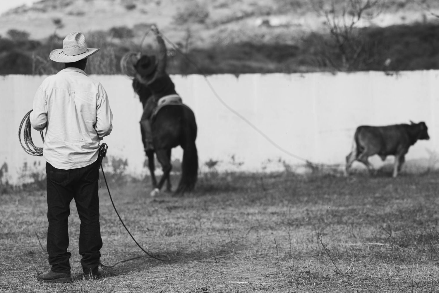 Cowboy standing with rope watching a horse and cow in a black and white ranch scene.