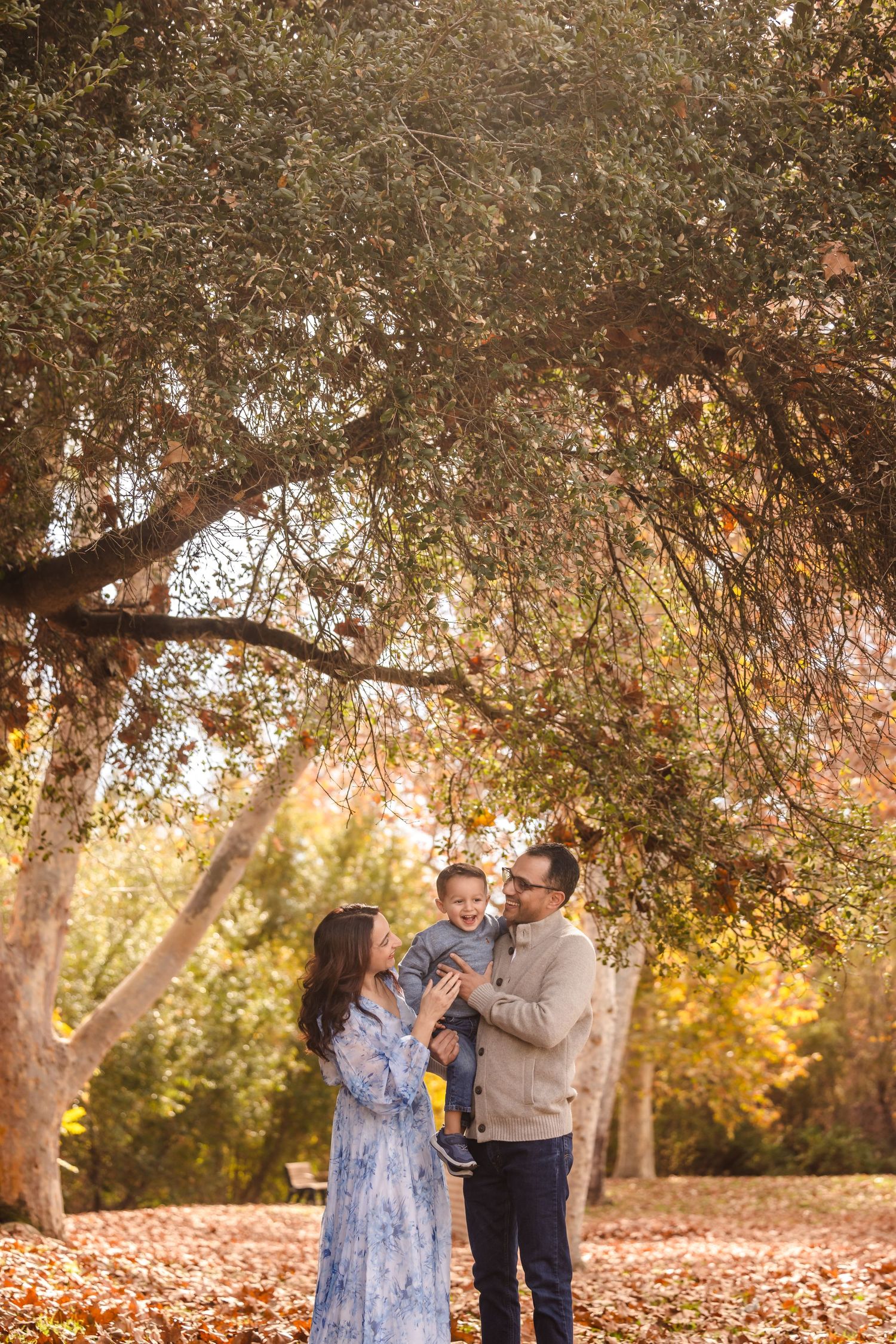 A tender family moment captured under autumn trees with golden sunlight filtering through.