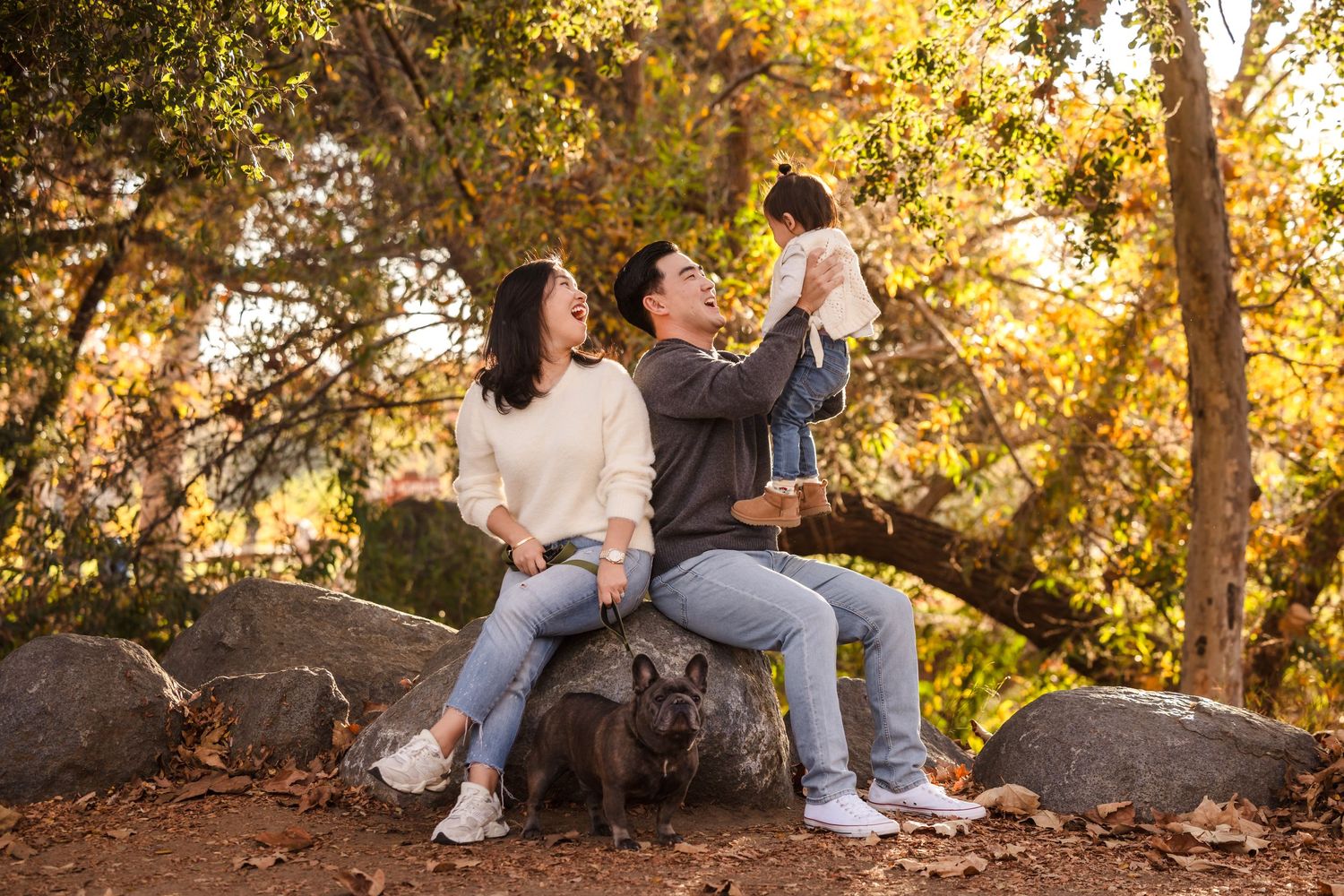 Couple sits on rocks with pet dog during autumn outdoor photoshoot.
