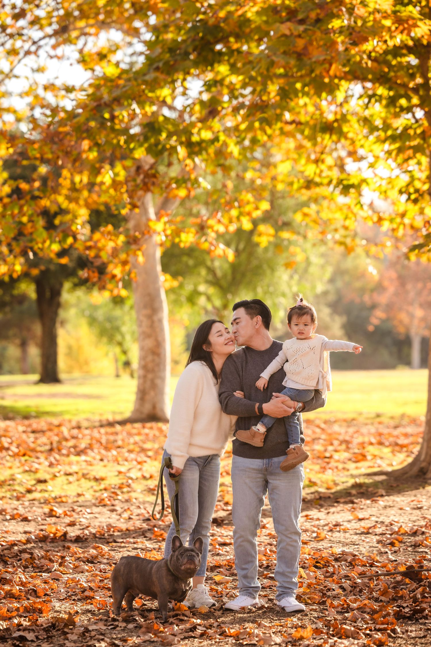 A family enjoys an autumn day with their small dog among trees with vibrant yellow foliage.