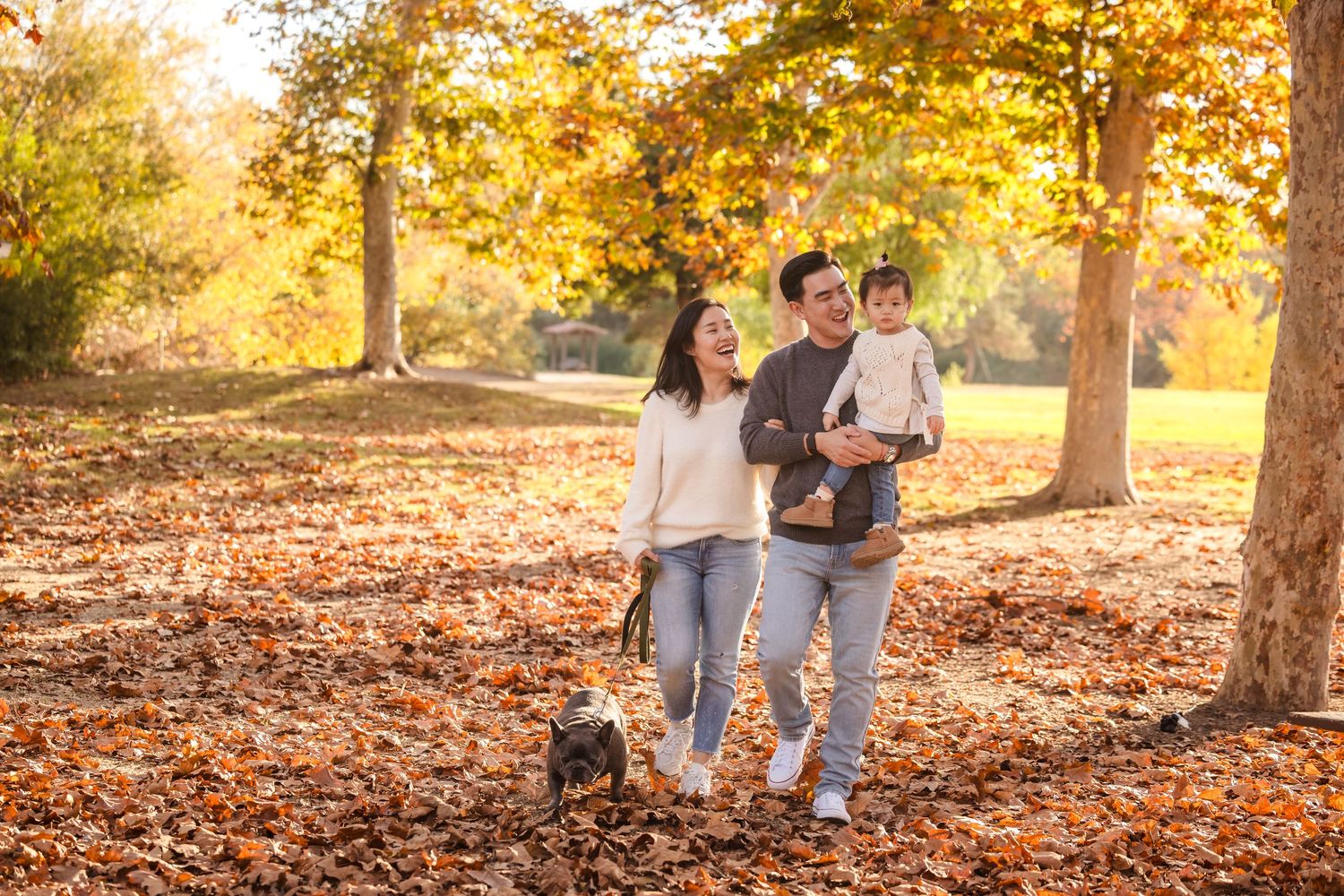 A family strolls together with their French Bulldog through a park with falling autumn leaves.
