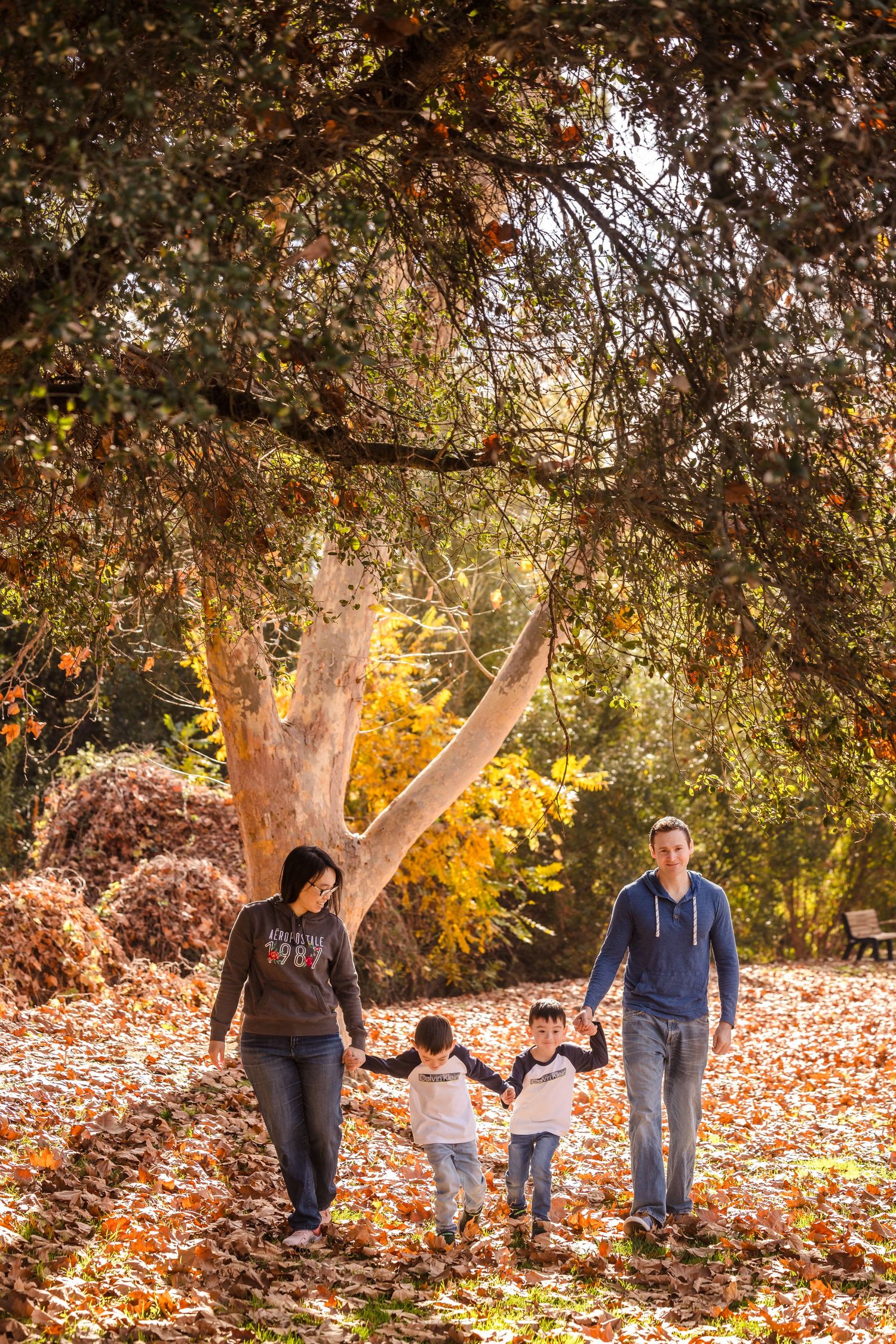Family holding hands while walking through fallen autumn leaves in a park.