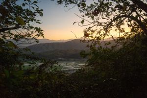 Scenic mountain valley view framed by tree branches during golden hour.