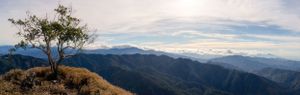 Lone tree silhouetted against mountain landscape with dramatic cloudy sky.