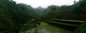 Scenic mountain landscape with terraced rice fields and lush green vegetation in a misty valley.