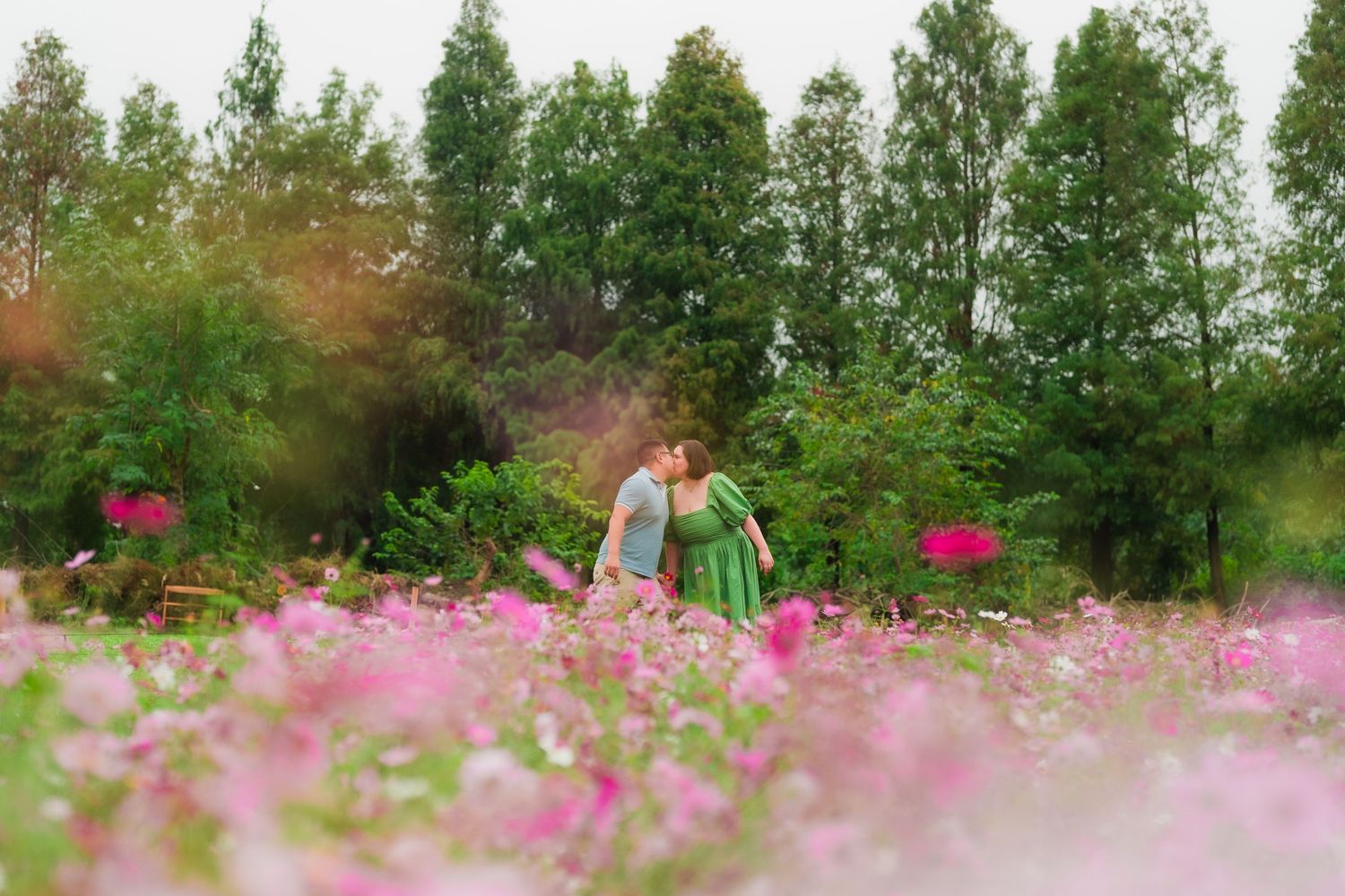 Man and woman walk through a vibrant field of pink cosmos flowers with green trees in the background in Douliu, Taiwan during an engagement.